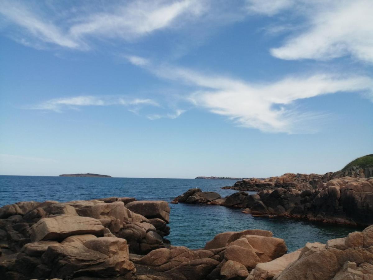 Del Sol - Sunny Island Complex Διαμέρισμα Τσερνομόρετς